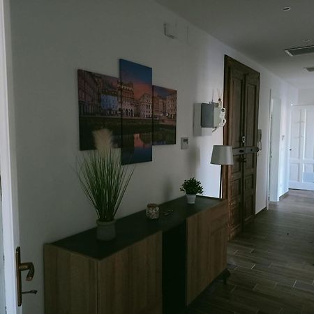 Casa Perugino Apartment Trieste Luaran gambar